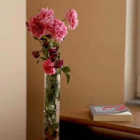 Apartamento Milica *